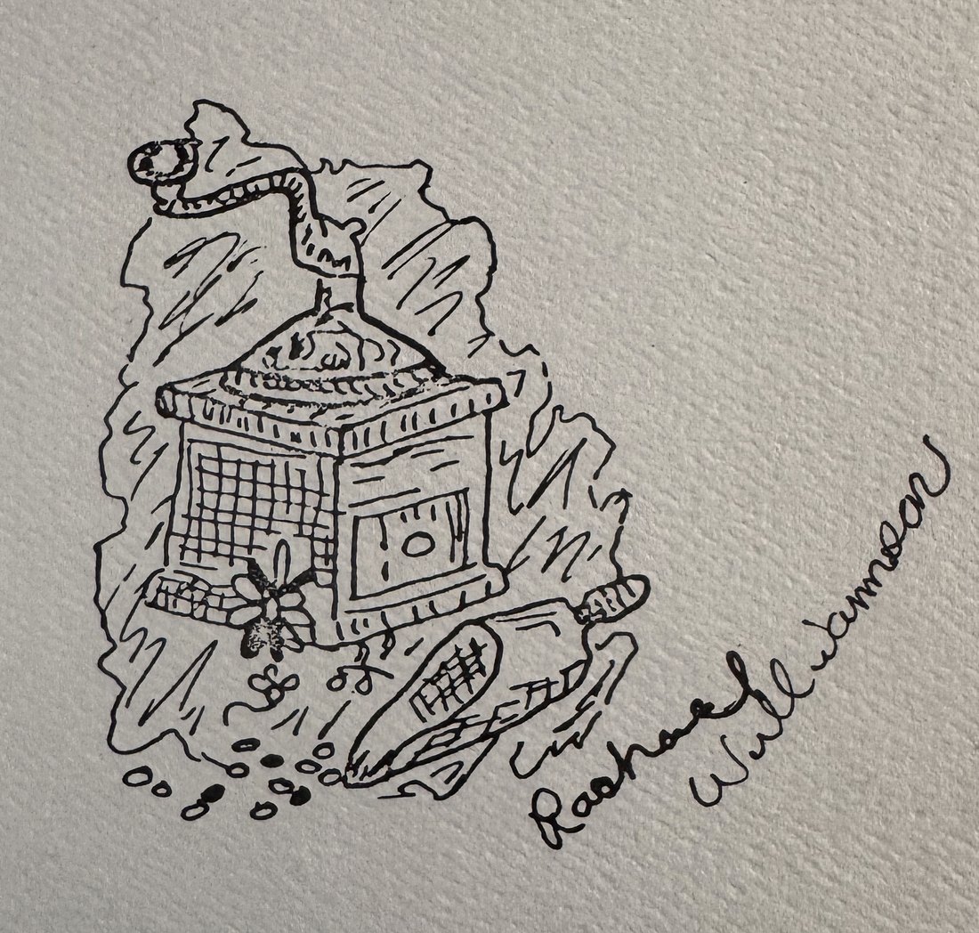Ink drawing of a hand-crank coffee grinder with a scoop and scattered beans, signed by the artist